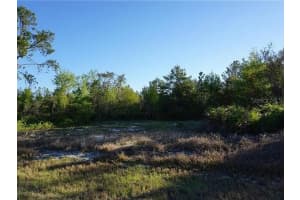 1327 ST AUGUSTINE COURT, KISSIMMEE, FL 34759 - MLS#MFRA4670305