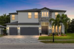 12605 EAGLES ENTRY DRIVE, ODESSA, FL 33556 - MLS#MFRA4670601