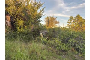 14251 INGRAHAM BOULEVARD, PORT CHARLOTTE, FL 33981 - MLS#MFRA4670658