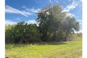 14251 INGRAHAM BOULEVARD, PORT CHARLOTTE, FL 33981 - MLS#MFRA4670658
