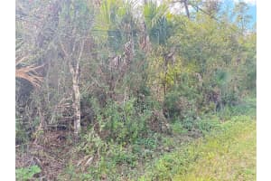 COBBLER LN, NORTH PORT, FL 34286 - MLS#MFRA4670740