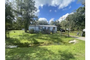 1138 SAINT NICHOLAS AVENUE, CHRISTMAS, FL 32709 - MLS#MFRA4670863