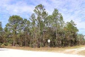 TBD 81ST STREET, DUNNELLON, FL 34432 Sold 11/20/25
