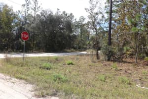 TBD 81ST STREET, DUNNELLON, FL 34432 Sold 11/20/25