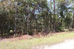 TBD 81ST STREET, DUNNELLON, FL 34432 Sold 11/20/25