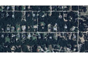 1255 BLUEBIRD COURT, HERNANDO, FL 34442 - MLS#MFRA4671138