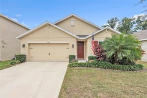9527 SUNSTONE BOULEVARD, THONOTOSASSA, FL 33592 - MLS#MFRA4671251