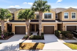 2009 Hawks View Dr, RUSKIN 2009 Hawks View Dr, RUSKIN