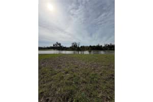 13143 SASSAFRAS TRL, PARRISH, FL 34219 - MLS#MFRA4671713