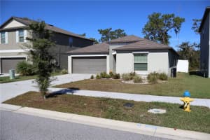 12963 WILDFLOWER MEADOW DRIVE, RIVERVIEW, FL 33579 - MLS#MFRA4671885
