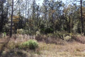 TBD SW 131ST CIRCLE, OCALA, FL 34481 Sold 02/25/26