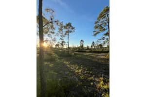 0 SEAGRAPE AVENUE, EUSTIS, FL 32736 - MLS#MFRA4672088