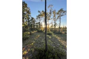 0 SEAGRAPE AVENUE, EUSTIS, FL 32736 - MLS#MFRA4672088