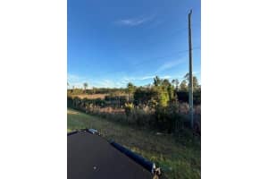 0 SEAGRAPE AVENUE, EUSTIS, FL 32736 - MLS#MFRA4672088