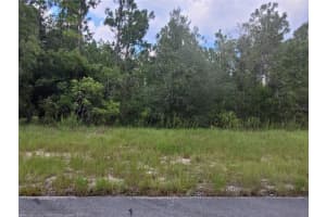 SW 135 ST, OCALA, FL 34473 - MLS#MFRA4672151