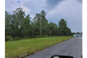 SW 135 ST, OCALA, FL 34473 - MLS#MFRA4672151