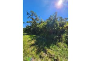 14519 TWINING AVENUE, PORT CHARLOTTE, FL 33953 - MLS#MFRA4672161