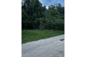 SE 135 LN, UMATILLA, FL 32784 - MLS#MFRA4672206