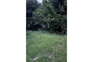 SE 135 LN, UMATILLA, FL 32784 - MLS#MFRA4672206