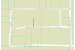 SE 135 LN, UMATILLA, FL 32784 - MLS#MFRA4672206