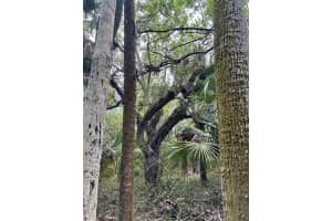 1701 CABBAGE WOOD ROAD, OKEECHOBEE, FL 34974 - MLS#MFRA4672348