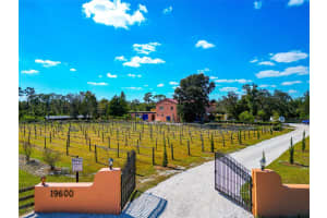 19600 E STATE ROAD 64, BRADENTON, FL 34212 - MLS#MFRA4672463