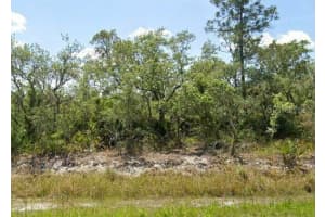 978 ARCHIE SUMMERS ROAD, LAKE PLACID, FL 33852 - MLS#MFRA4672881