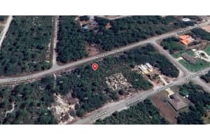 978 ARCHIE SUMMERS ROAD, LAKE PLACID, FL 33852 - MLS#MFRA4672881