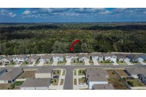 7751 ROSEWOOD GARDEN LOOP, TAMPA, FL 33637 - MLS#MFRA4672887