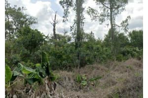 400 DUCKLING AVENUE, SEBRING, FL 33872 Sold 03/05/26