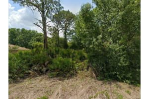 2235 PUFFIN STREET, SEBRING, FL 33870 - MLS#MFRA4672899