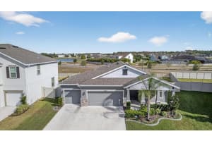 11823 TETRAFIN DRIVE, RIVERVIEW, FL 33579 - MLS#MFRA4672903