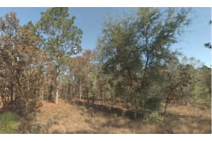 0 19TH PLACE, OCALA, FL 34481 - MLS#MFRA4672977