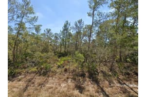 3234 FLATBUSH AVENUE, LAKE PLACID, FL 33852 - MLS#MFRA4673024