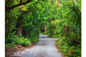 2613 TEMPLE STREET, SARASOTA, FL 34239 - MLS#MFRA4673045