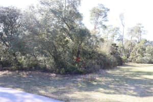 TBD SW 157TH STREET, OCALA, FL 34473 - MLS#MFRA4673083