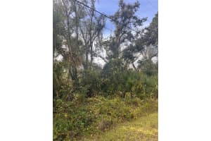 FIREBRAND RD, NORTH PORT, FL 34288 - MLS#MFRA4673420