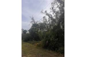 FIREBRAND RD, NORTH PORT, FL 34288 - MLS#MFRA4673420