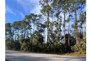 13486 CHAMBERLAIN BOULEVARD, PORT CHARLOTTE, FL 33953 - MLS#MFRA4673582