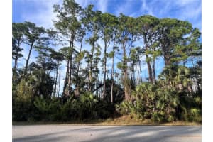 13486 CHAMBERLAIN BOULEVARD, PORT CHARLOTTE, FL 33953 - MLS#MFRA4673582