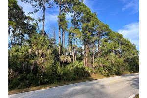 13486 CHAMBERLAIN BOULEVARD, PORT CHARLOTTE, FL 33953 - MLS#MFRA4673582