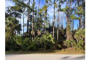 13486 CHAMBERLAIN BOULEVARD, PORT CHARLOTTE, FL 33953 - MLS#MFRA4673582