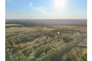 10989 LILY COUNTY LINE ROAD, ONA, FL 33865 - MLS#MFRA4673958