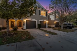 10118 WESTPARK PRESERVE BLVD, TAMPA, FL 33625 - MLS#MFRA4673961