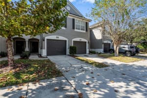 10118 WESTPARK PRESERVE BLVD, TAMPA, FL 33625 - MLS#MFRA4673961