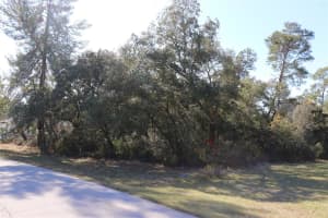 TBD MARION OAKS GOLF ROAD, OCALA, FL 34473 - MLS#MFRA4673975