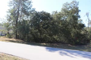 TBD MARION OAKS GOLF ROAD, OCALA, FL 34473 - MLS#MFRA4673975