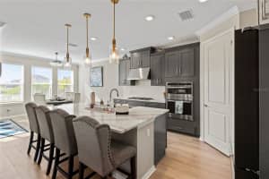 16545 STAR GRASS CIRCLE, BRADENTON, FL 34211 - MLS#MFRA4674152