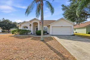 12231 SHADY FOREST DRIVE, RIVERVIEW, FL 33569 - MLS#MFRA4674216