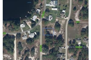 665 STARGAZER DRIVE, LAKE PLACID, FL 33852 - MLS#MFRA4674230